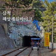삼척 해양레일바이크 용화정거장 예약, 가격, 후기