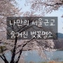 나만의 서울근교 숨겨진 벚꽃 명소 추천 (23년 방문 기준)