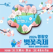 사뿐사뿐 영랑호 봄나들이~!🌸2024 영랑호 벚꽃축제 2차 안내!🌸