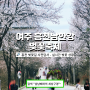 미리 다녀와 본 흥천남한강 여주 벚꽃축제