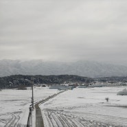 <유리눈알> 감상문 / 최재원, <나랑 하고 시픈게 뭐에여?> 수록 시