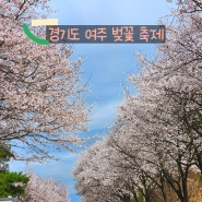 경기도 여주 벚꽃 축제 개화 주차장 행사안내