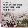 [CUK꿀팁]숨겨진 벚꽃·봄꽃맛집 안내