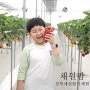 경북 예천 딸기체험 채원팜 딸기농원