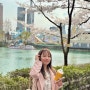 4월 석촌호수 벚꽃 축제 구경 포토스팟, 야경 추천