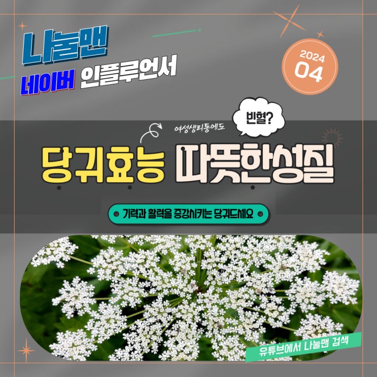 당귀의 효능 당귀차 뿌리 당귀잎 갱년기 빈혈 증상 생리통에좋은음식 ( 나눌맨의 음식궁합 ) : 네이버 블로그