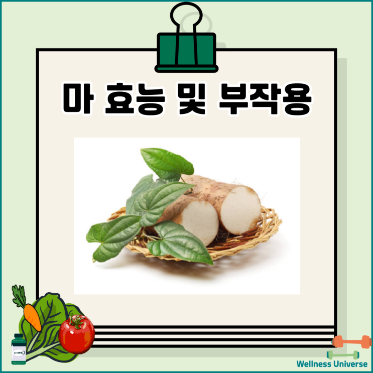 마 효능 및 부작용과 섭취 방법 : 네이버 블로그