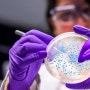 [생균과 사균] 미생물 균주 배양과 미생물 정량분석 방법_한국의과학연구원 미생물분석센터