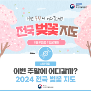 [생생탐험] 2024년 전국벚꽃지도