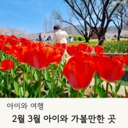 2월 3월 아이와 가볼만한 경남 여행지 벚꽃 튤립 수선화