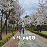 [서울 여행] 어린이대공원 - 벚꽃 운영시간 주차 산책 데이트