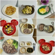 25 26개월 아기 반찬 식단 모음 | 김밥, 닭봉, 꽃게찜, 콩나물국, 새우전, 국수