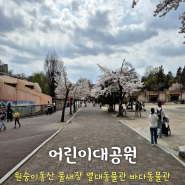 [서울 여행] 어린이대공원 - 동물원 원숭이동산 물새장 열대동물관 바다동물관