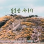 서울 응봉산 개나리 진달래 실시간 개화상태 팔각정 기차뷰와 튤립 봄꽃명소 가볼만한곳