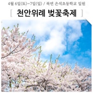 천안 북면 '천안위례 벚꽃축제' 위치 주차장 행사일정 안내