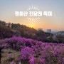 원미산 진달래꽃동산 : 진달래 축제 모습 (4월 5일)