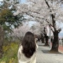 여의도 벚꽃축제 • 점심시간에 다녀온 윤중로 벚꽃길 (푸드트럭, 정보)