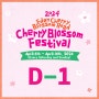2024 Eden Cherry Blossom Road Cherry Blossom Festival 1st Week Performance Guide