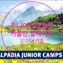 [주니어영어연수] 카플란 & 알파디아 2024년 주니어 영어 캠프 모집 - 영국. 스위스