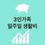 3인가구 생활비 줄이기 한달 식비 70만원 3월 4주차 가계부 - 3월 애드포스트 수입 얼마?