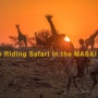 승마 사파리 사전 안내사항(Important Pre Horse Riding Safari in MASAI MARA Information)