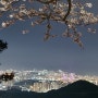 부산 광안리 벚꽃 야경 명소 드라이브 황령산 봉수대
