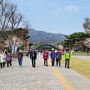 서울 대공원 벚꽃