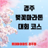 2024 경주 벚꽃마라톤대회 코스에 대해서 알아보자(feat.경주하이마트)