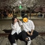 [진해] 벚꽃명소 진해 경화역에서 벚꽃사진 찍고왔지요~!