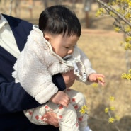 [생후 13개월] 성장일지 / 스케쥴, 장난감, 아기발달특징