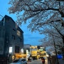벚꽃길 바로 앞에 위치한 냉동삼겹살 맛집 406고깃집 온천천점