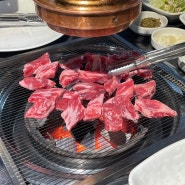 응암동 맛집 황금숯불구이 은평구본점 육회, 소갈비살, 양념 돼지갈비까지~ 탄탄한 외식 후기