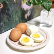 삶은 구운 계란 효능 날계란으로 먹어도 될까? 알레르기 부작용