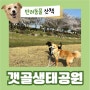 시흥 갯골생태공원 벚꽃 놀이, 강아지 산책, 주차 정보