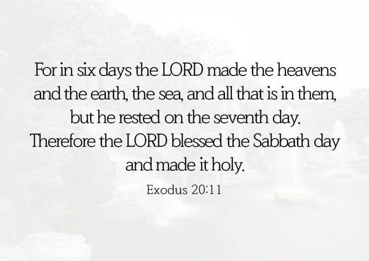 NIV Bible, Exodus 20:11 : 네이버 블로그