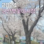 2024 군산 벚꽃 개화시기 은파호수공원 은파유원지 벚꽃축제 벚꽃야시장 실시간