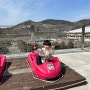 벚꽃시즌에 4살 아이와 청도 군파크루지 방문 후기