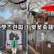 경기도 과천 렛츠런파크 서울 벚꽃 축제 놀거리 가득 푸드트럭 데이트 코스