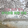 수원 벚꽃 명소 뽀개기 2024. 4. 6 (만석공원, 서호공원)