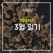 2024년 3월을 마무리하며,