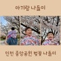 두 돌 아기랑 인천중앙공원 벚꽃 나들이🌸