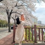 서울 쌍문역 벚꽃명소 우이천 아기랑 벚꽃길 나들이