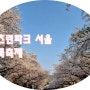 렛츠런파크 서울 벚꽃축제 주차 입장료 돗자리 푸드트럭 위치