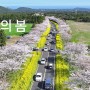 5K 드론영상 - 제주의 봄 [Korea 5K Drone - Spring in Jeju]