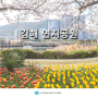 김해 연지공원 벚꽃 튤립 주차장 당일 피크닉