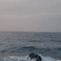 제주 애월해안도로⭕ 아름다운 일몰을 감상할 수있는 곳