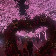 [여주 흥천 벚꽃축제] 여주 흥천 벚꽃축제