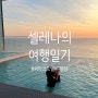 씨마크호텔 수영장 온수풀 네 번 이용 후기와 팁 강릉 호캉스 추천