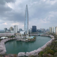 서울가볼만한곳- 석촌호수 벚꽃축제
