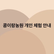 콩이랑농원 개인 체험 안내